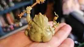凯拉·米尔斯即将离开RPS，来庆祝她在RPS的时光，并与她告别。